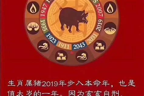 2024年什麼生肖|2024年是属什么年 2024年是甲辰龙年